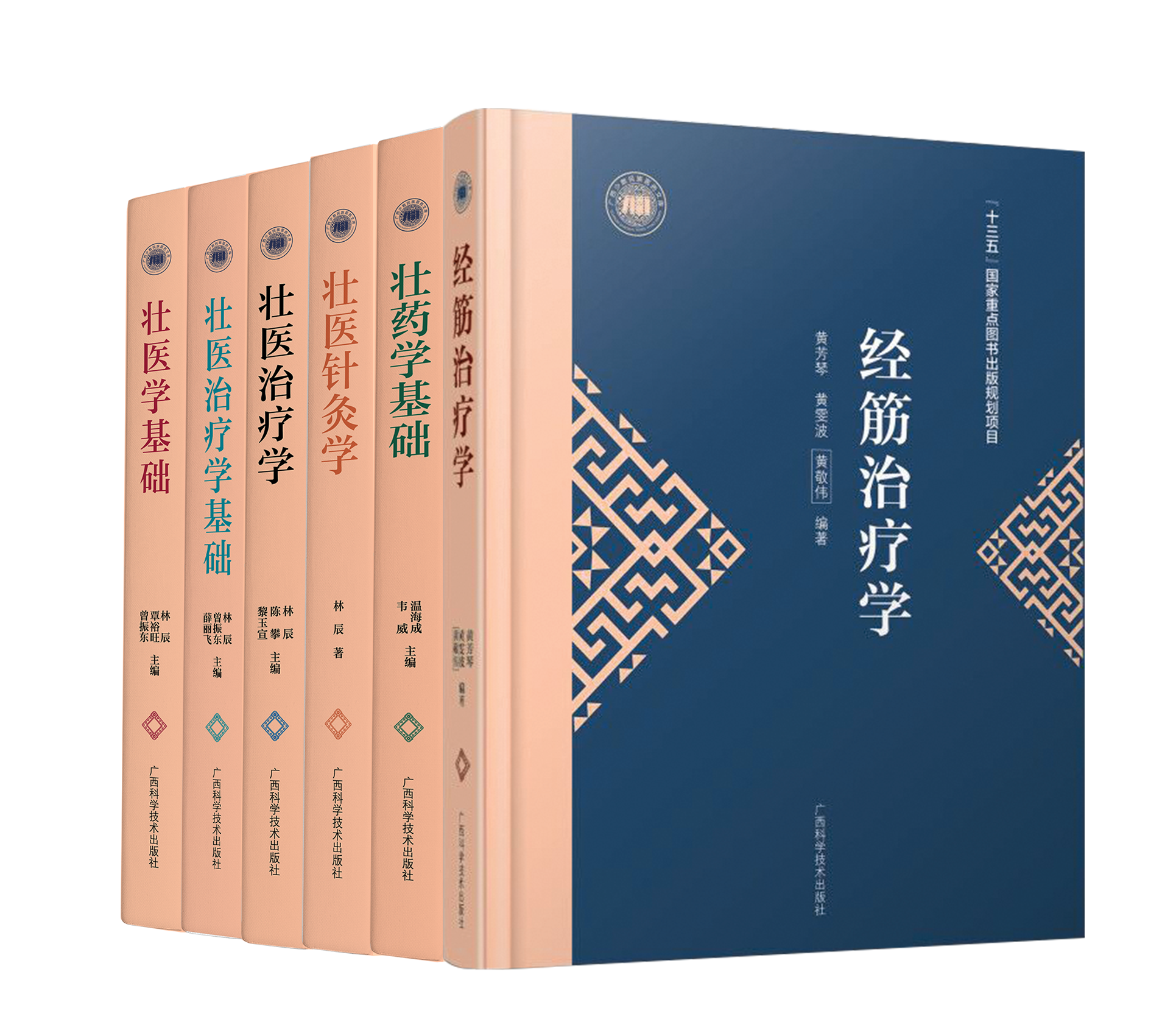 《广西少数民族医药文库（第一辑）》