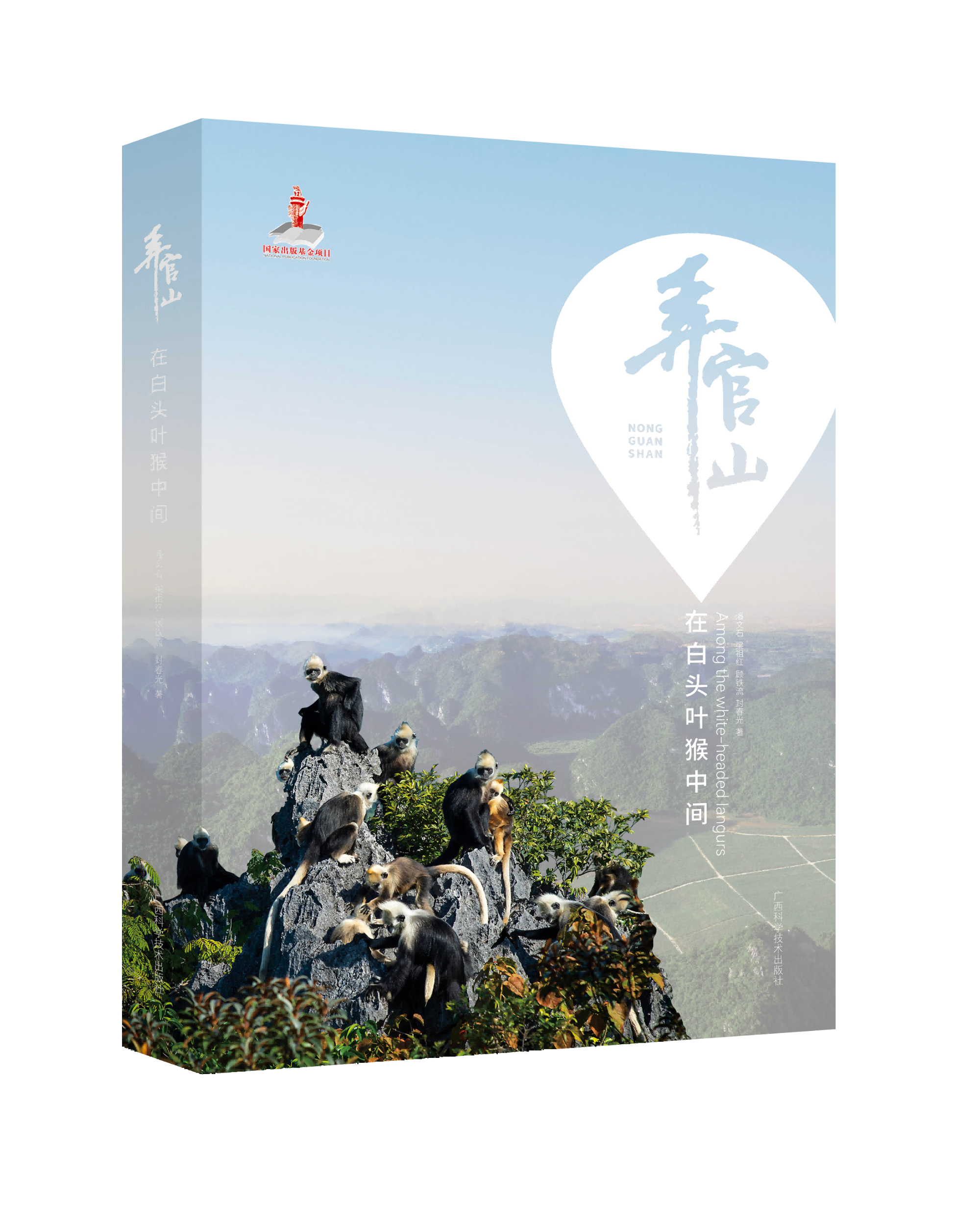 《弄官山——在白头叶猴中间》