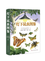 《灯下昆虫图鉴》