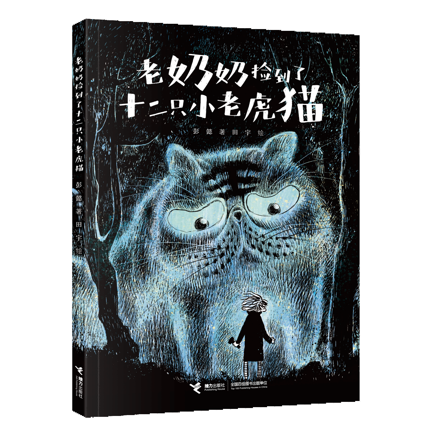 《老奶奶捡到了十二只小老虎猫》